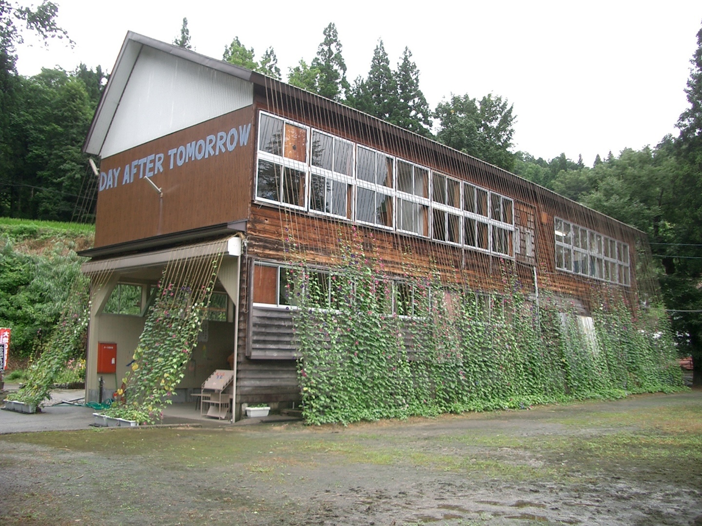 たくさんの朝顔のツルに囲まれている建物の写真