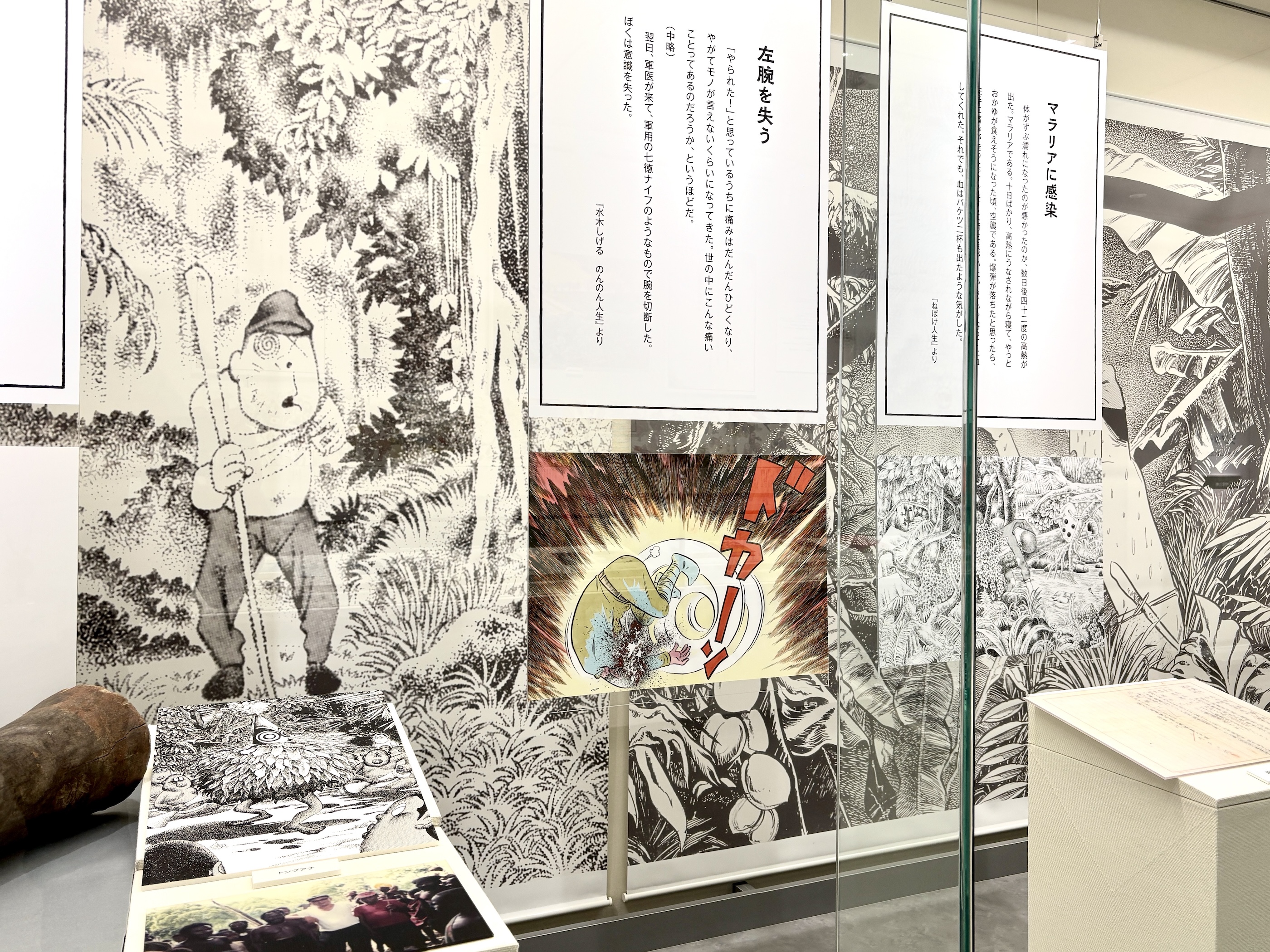 【画像】展示会場の様子