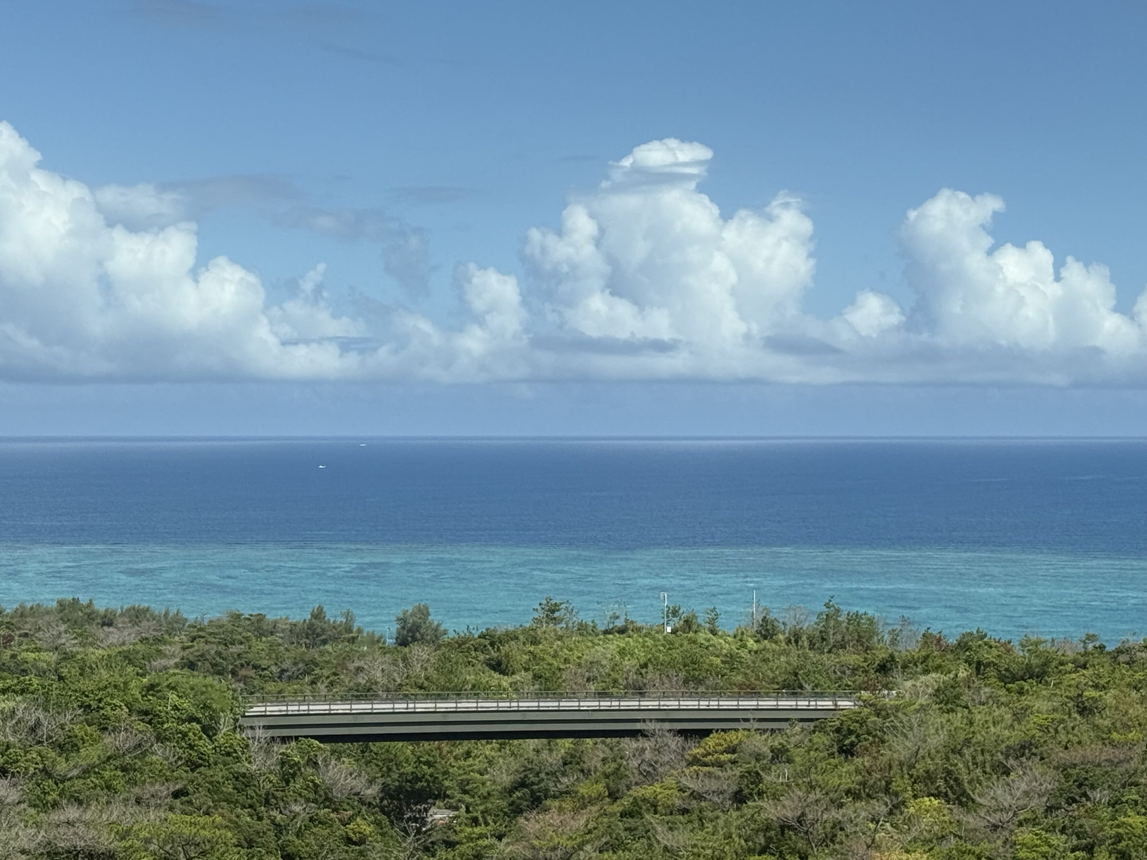 【写真】エメラルドブルーと濃い青色という2色の海が広がっている。その手前には、自然のなかをつなぐ一本の道路