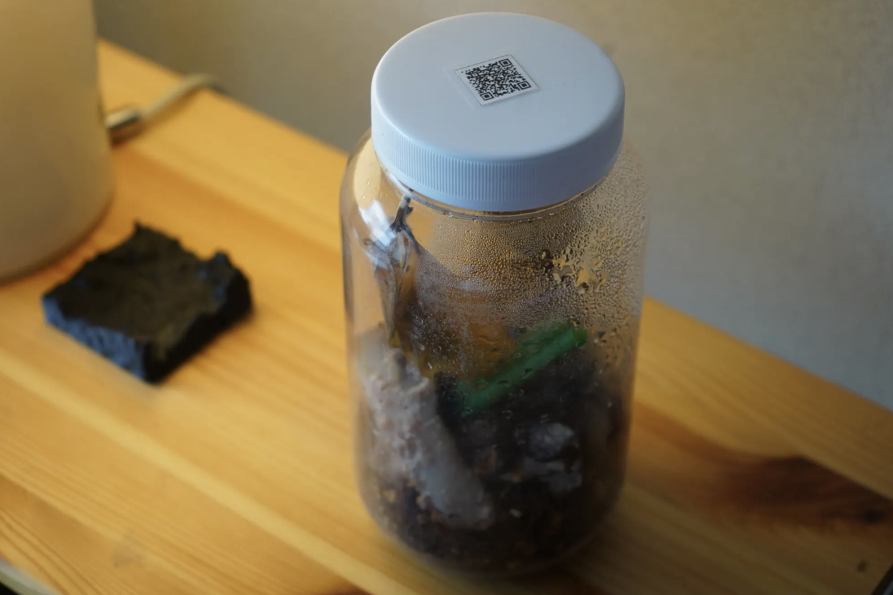 【写真】しめったビンの中に、土と共に何かが入っていることがわかる