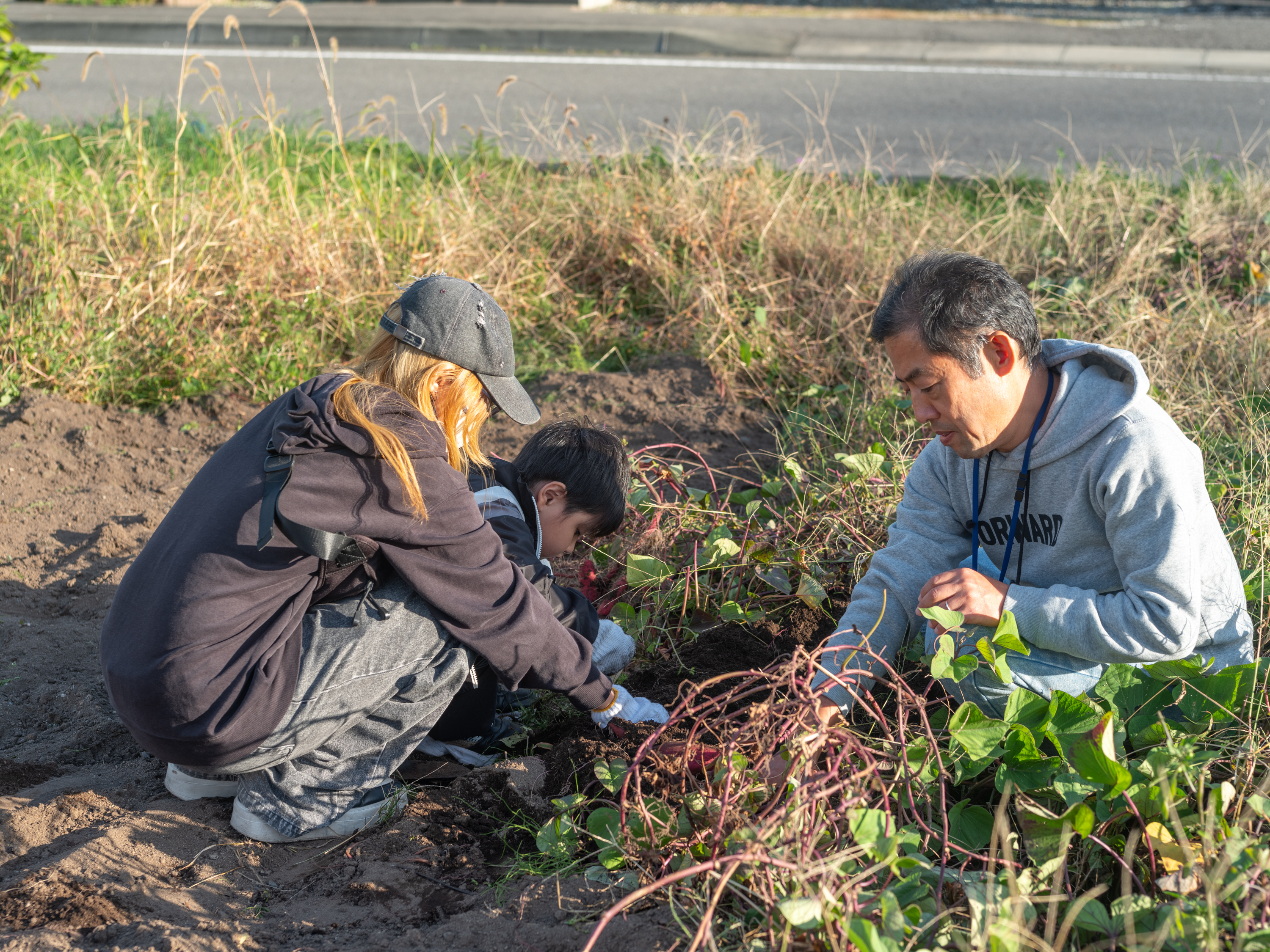 【写真】畑で収穫をする人々