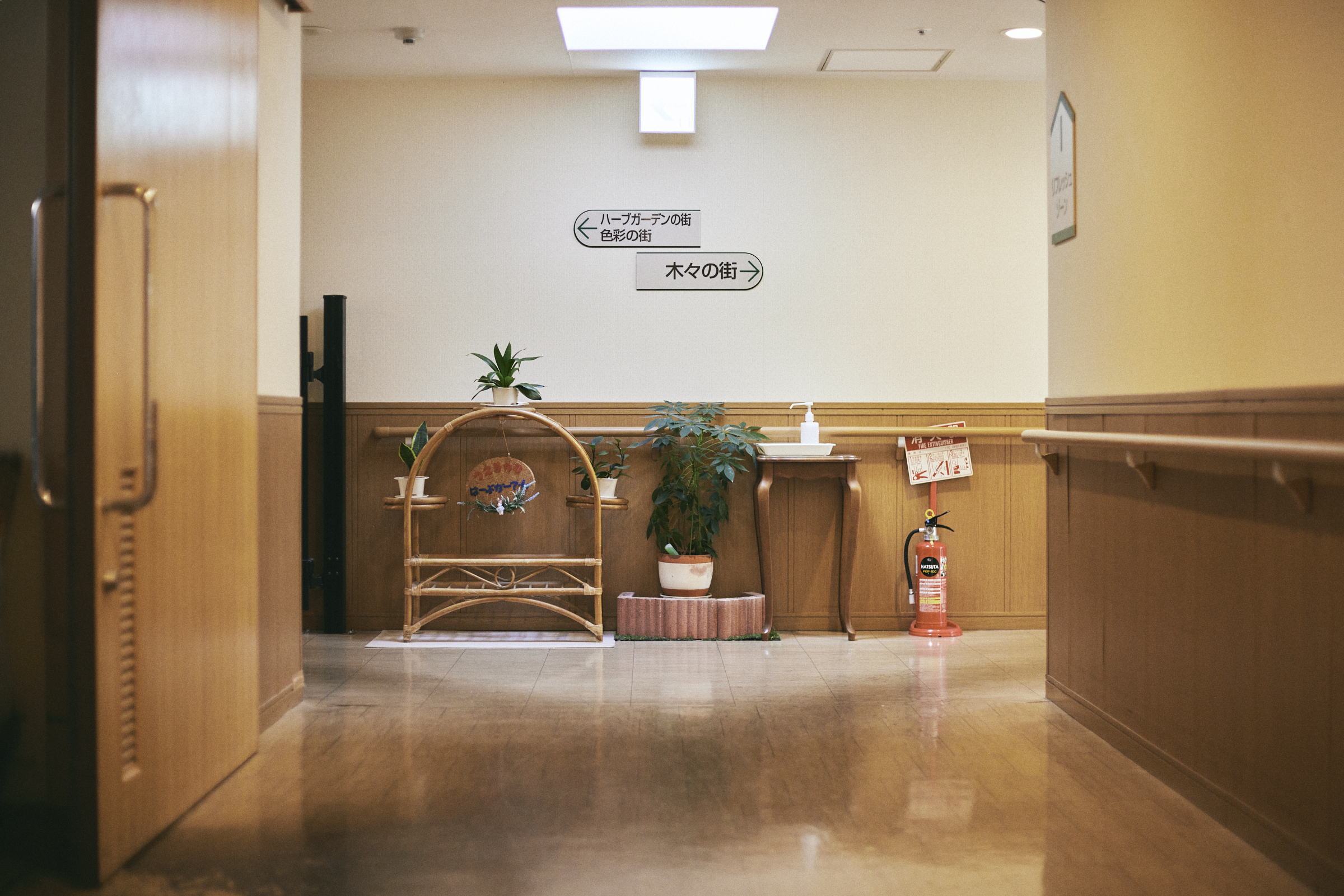 【写真】みさとひるずの廊下