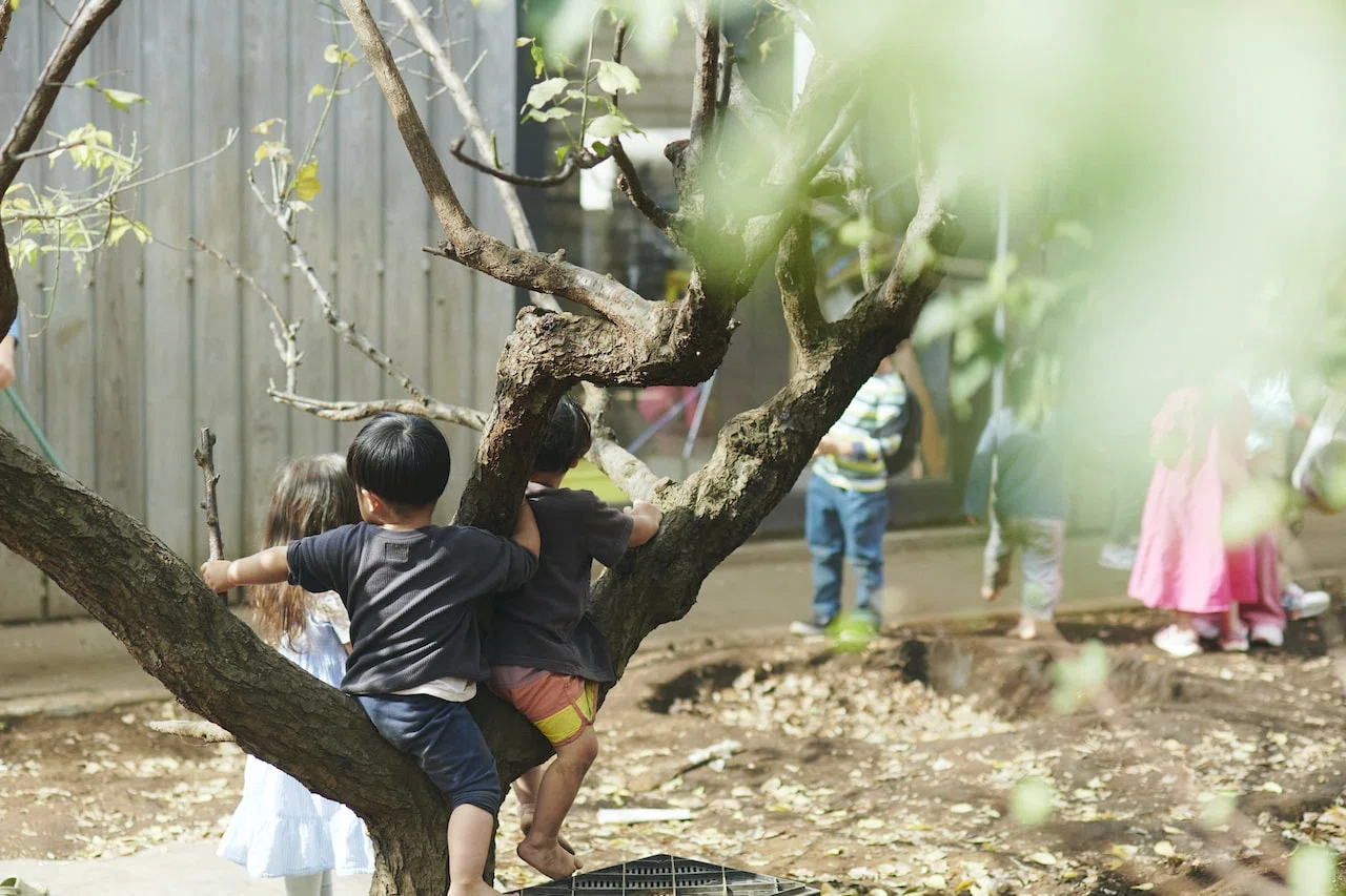 【写真】木登りをして遊ぶ子どもたち