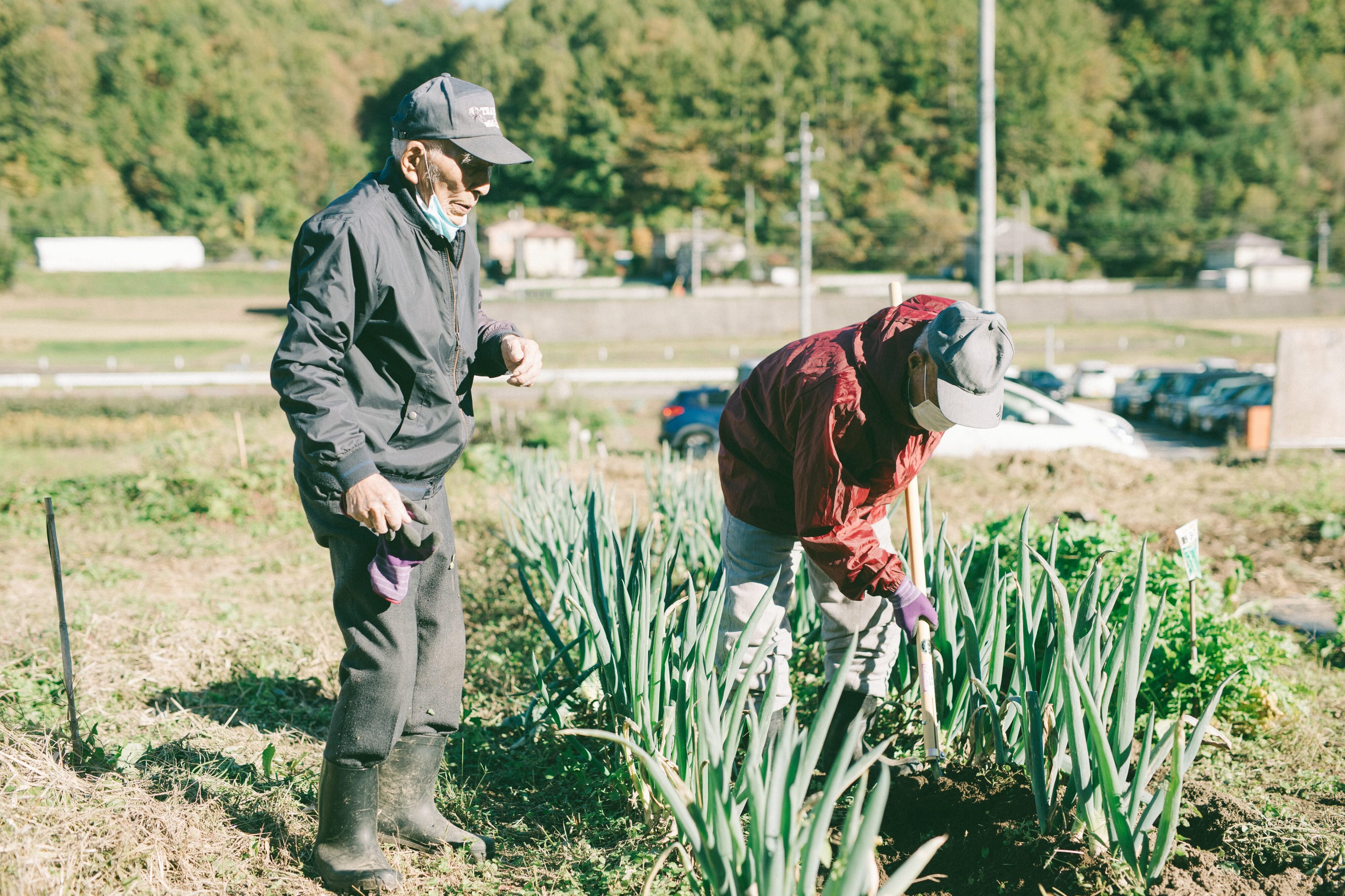 【写真】畑で作業をするふたり