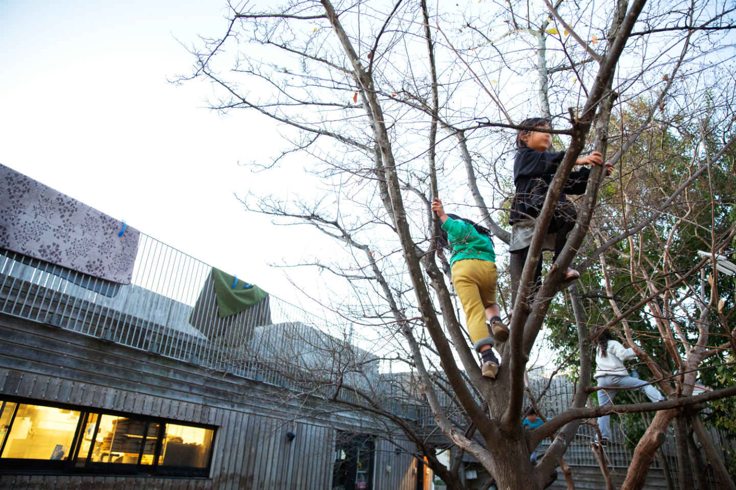 【写真】木造の建物が横にある中庭で、子どもが2人、葉の落ちた木に登って遊んでいる