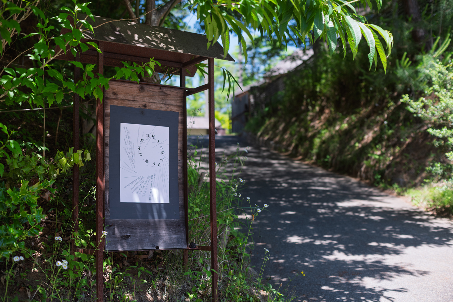 【写真】